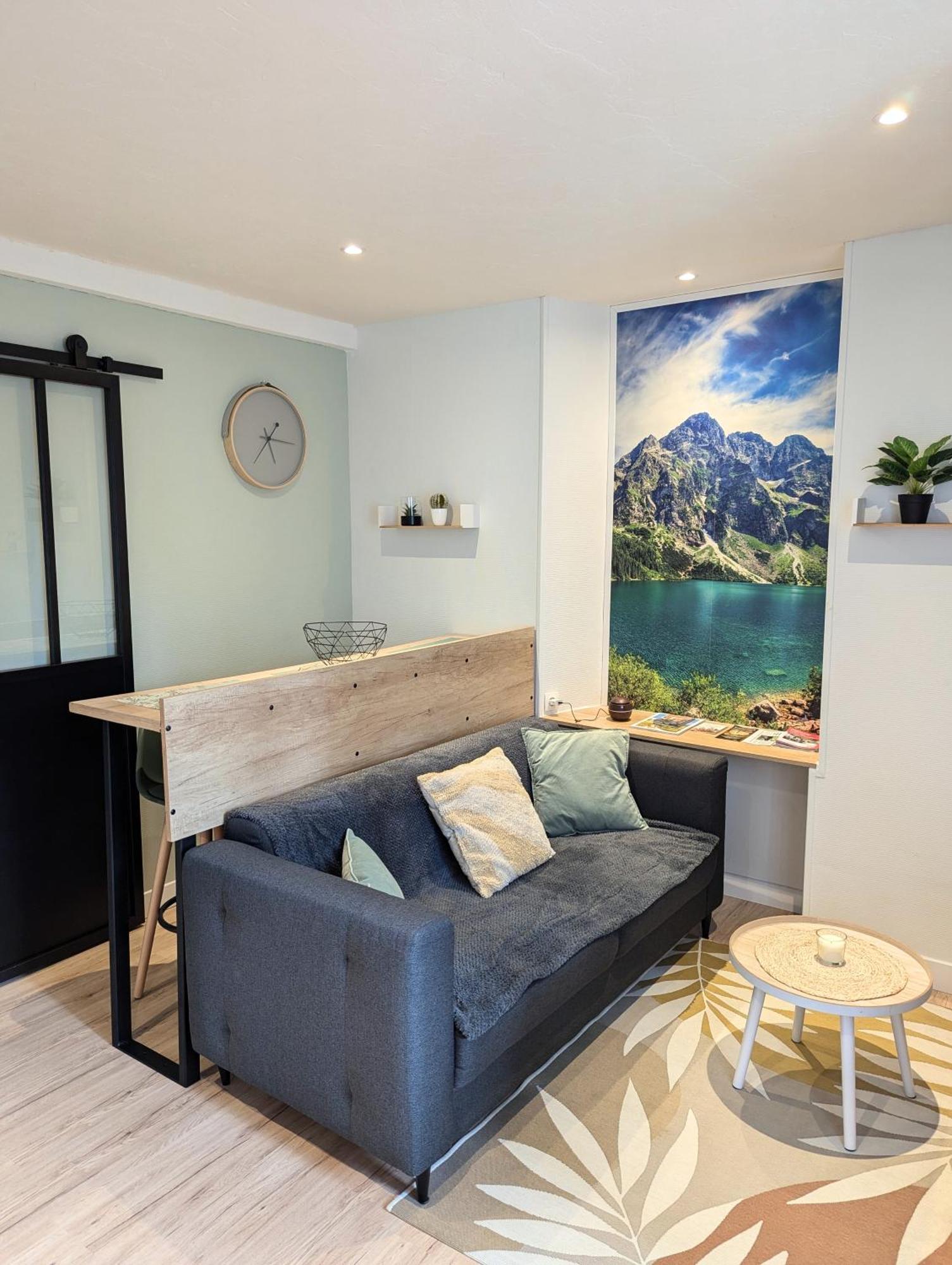 Appartement Au Coeur Des Alpes 阿尔贝维尔 外观 照片